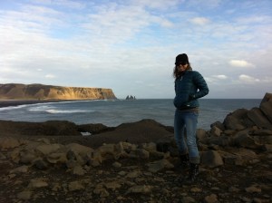 On the cliffs of Cape Dyrholaey