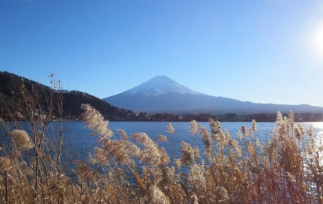 mt fuji
