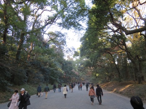 Forest surrounds the shrine