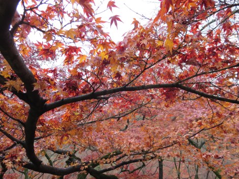 lovely time of year