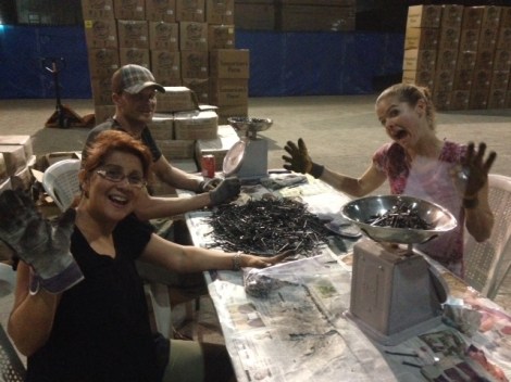 packing nails with lollette