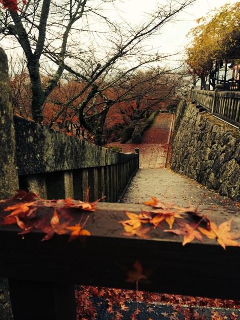 beautiful fall colors at kiyomizu temple