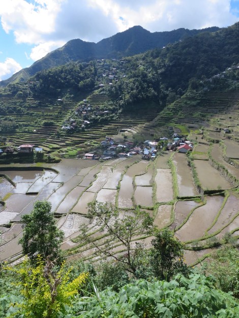 stunning views from every angle