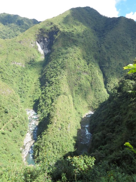 the river from above