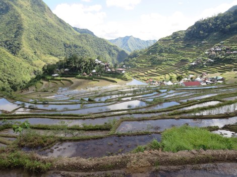 view in the afternoon light