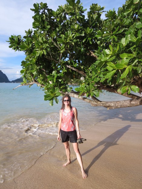 the signature tree everyone has to walk around as it spans from the beach to the water
