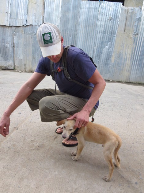 the cutest puppy in town