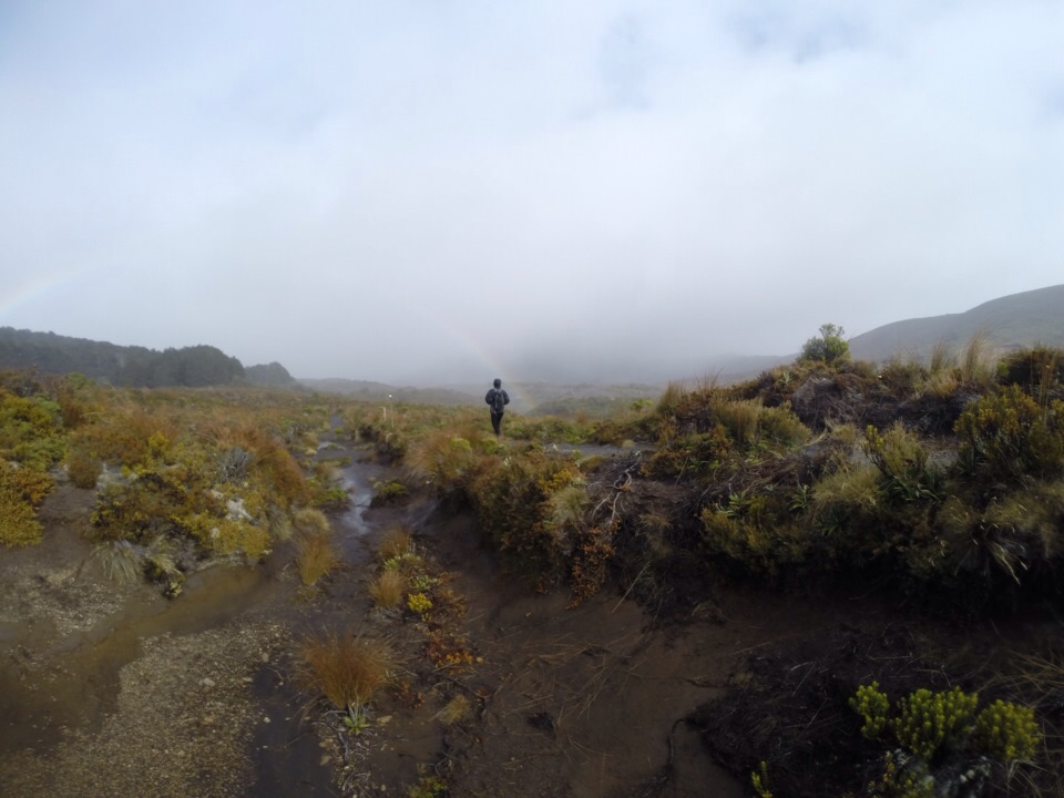 a rainbow around every bend