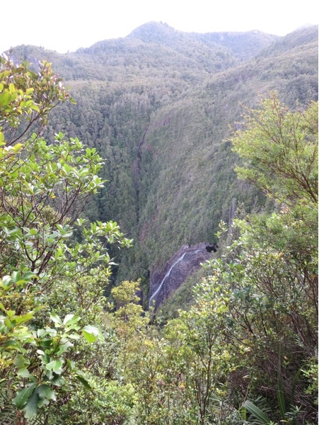 billy goat falls from above