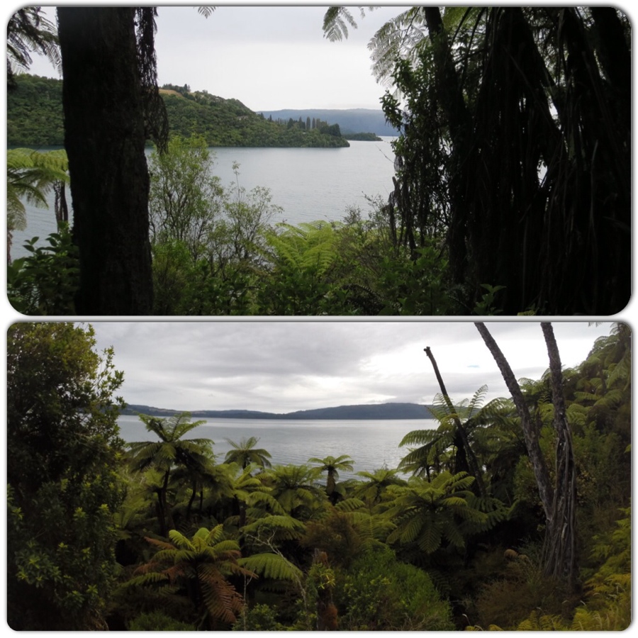 enjoying some lake views along the way