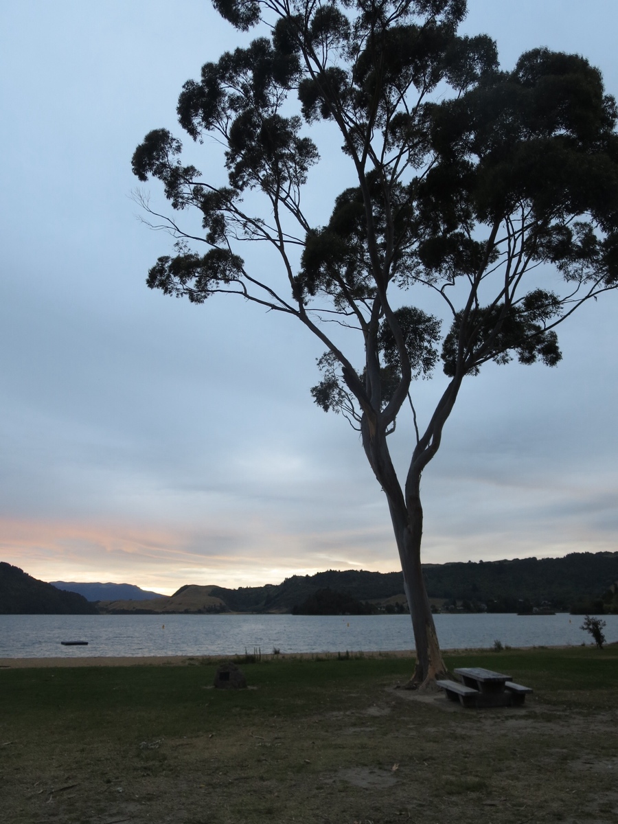 goodbye lake okareka campsite