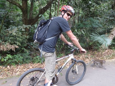 these monkeys were not afraid of us