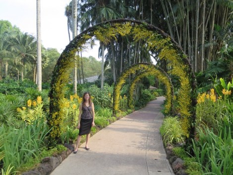 surrounded by beauty!