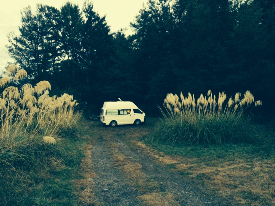 kaimanawa forest campsite