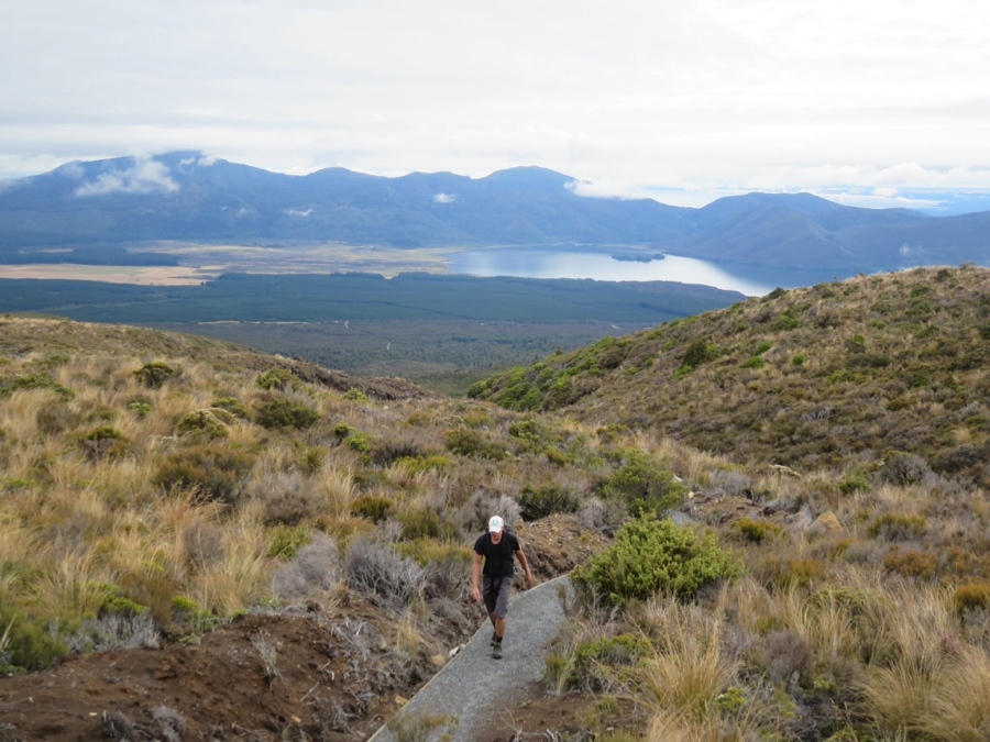 making our way from the ketetahi road end to the ketetahi shelter