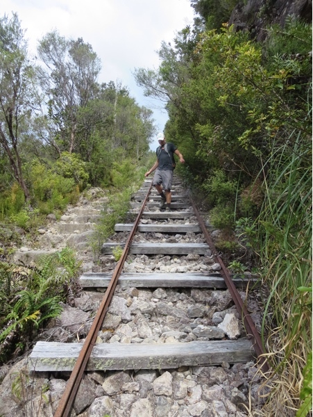old tracks from the logging days