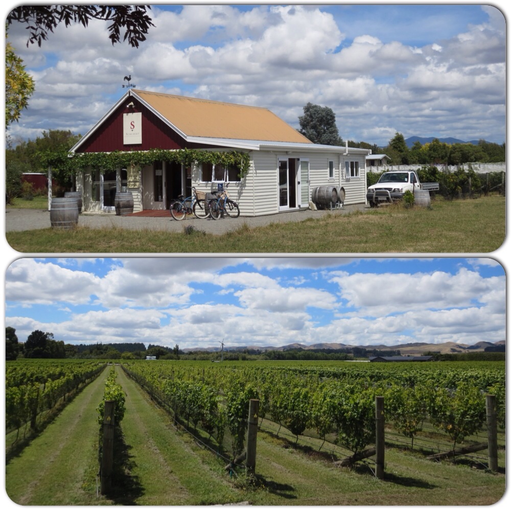 schubert wines