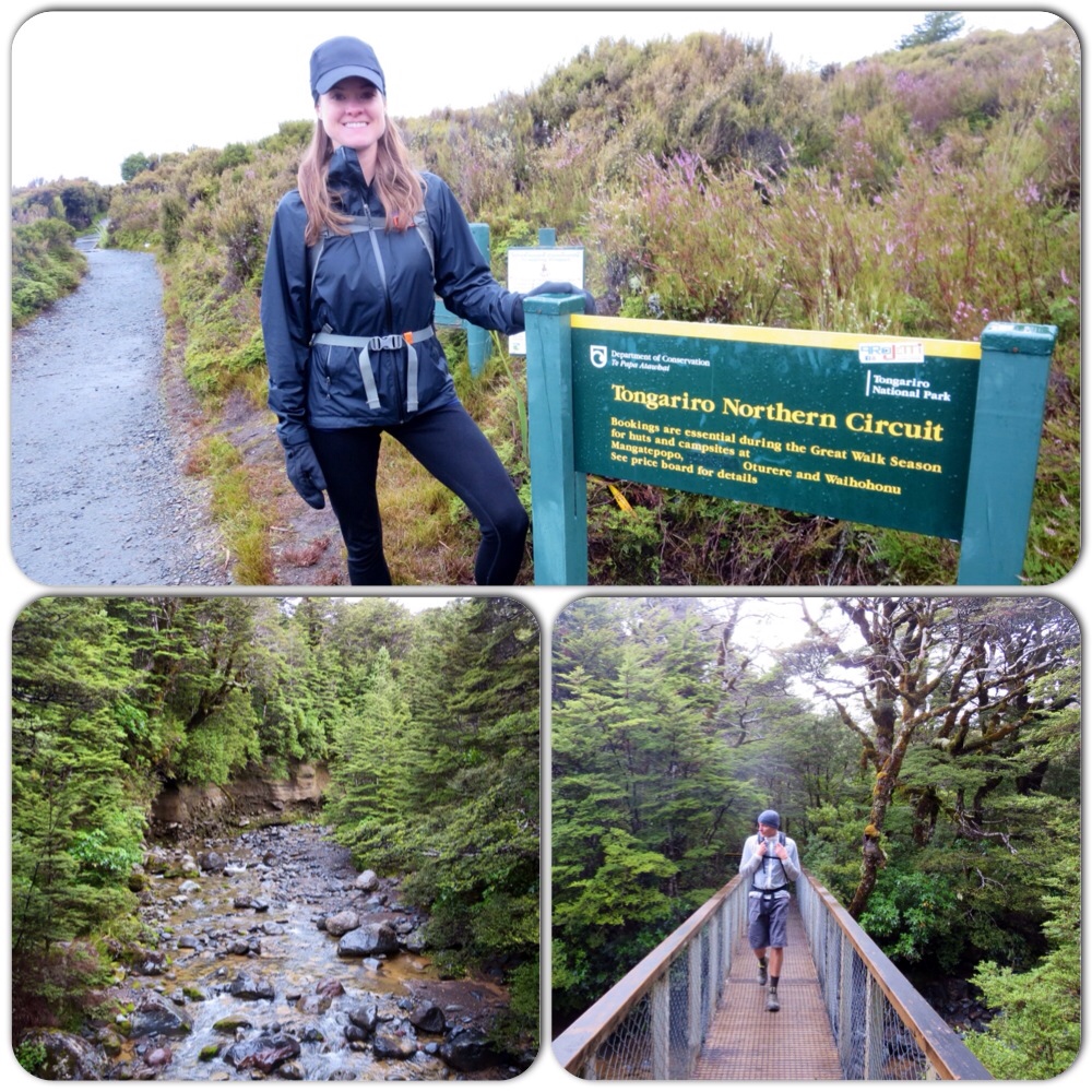 the tongariro northern circuit