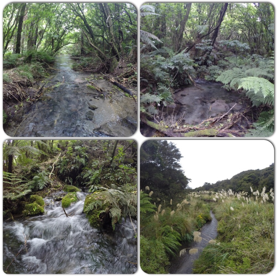 we passed by crystal clear waters