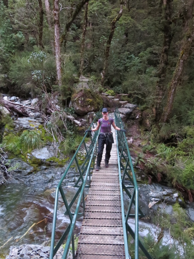 a bridge with arm rails on both side!