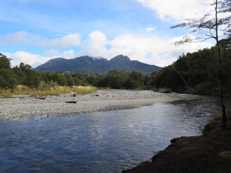 following the iris burn river