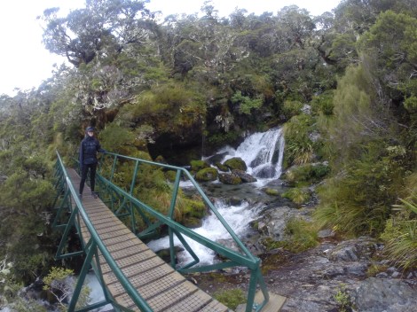 thankful there is a bridge over this one