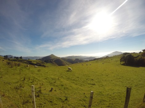 views from the trailhead