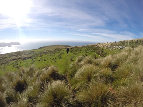 walking down to lovers leap