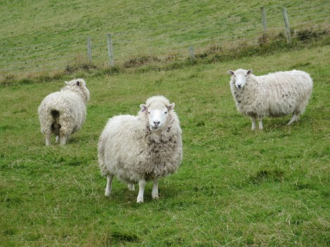 checking us out as we check them out