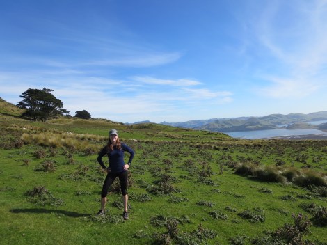 continuing on the circuit