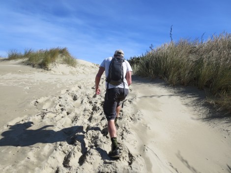hiking up to the sandfly bay viewpoint