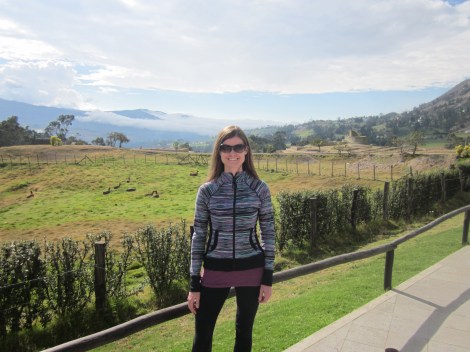 in ingapirca, a field of llamas behind me