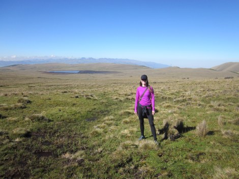views of the lake and mountains below