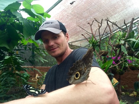 jay was holding one on his finger, when another one landed on his arm!