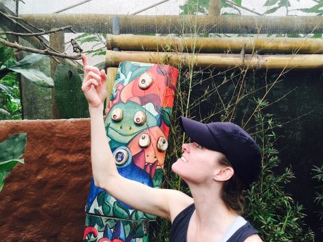 you can pick up the butterflies by having them climb onto your finger, but you are not to touch the wings