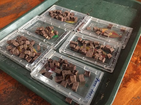 the best part! at the very end, we got to sample all the end products...yum!