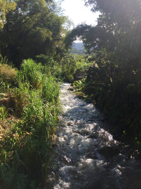 the creek outside our balcony