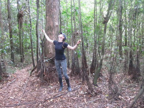 the forest is filled with vines