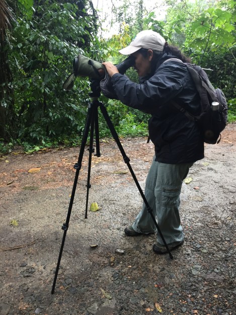our guide setting up the bird-watching scope