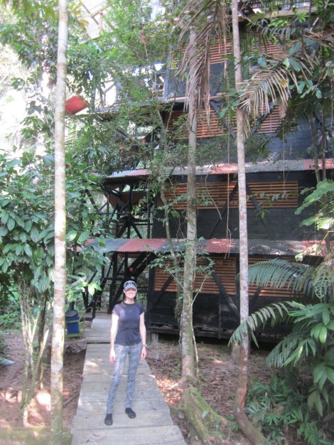 the tower our room was located in