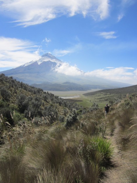 making our way to the summit