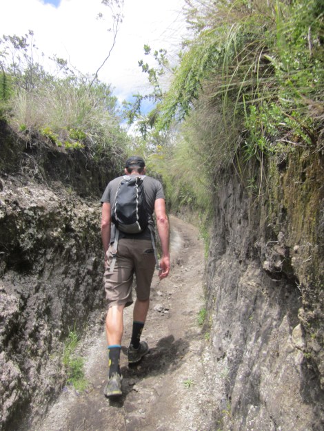 sections of the trail went straight through the mountainside like this